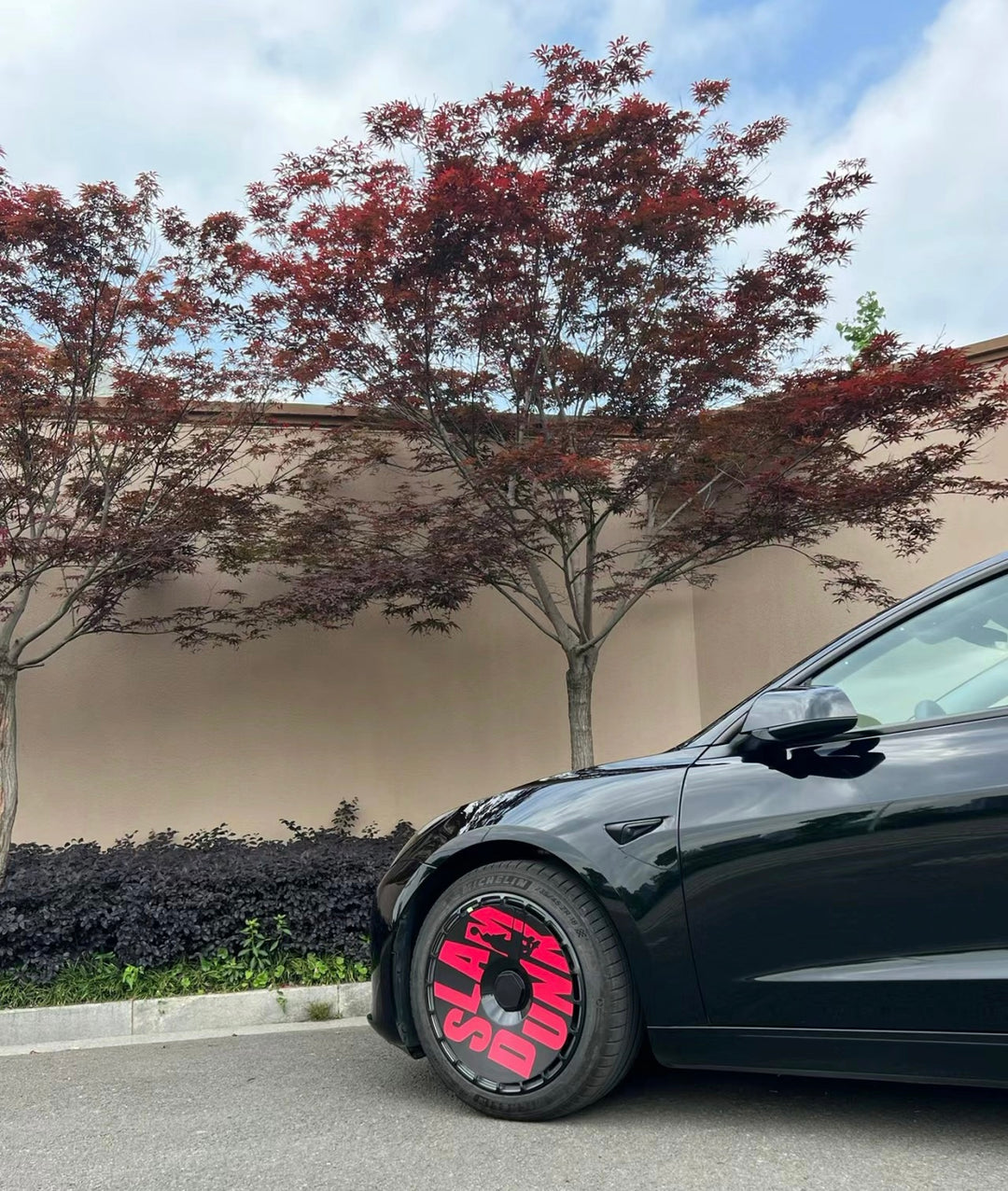 A3-2 Tesla Aero wheel covers for Model Y 19" 20" or Model 3 18" hubcaps a set 4 pcs